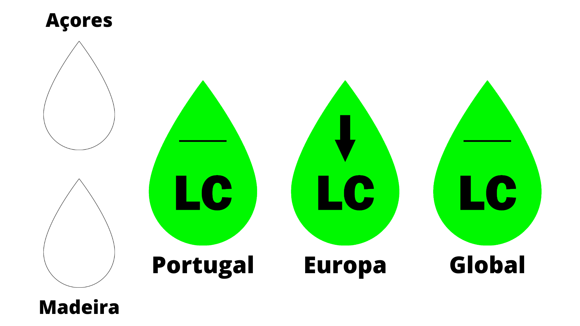 Rios da Europa :: Rios de portugal