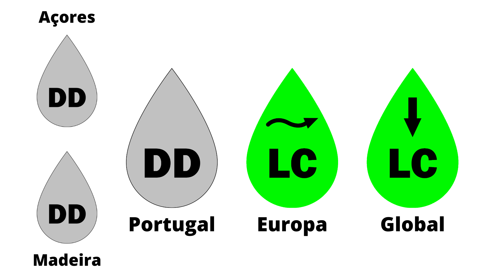 Pombo-comum - Aves - InfoEscola