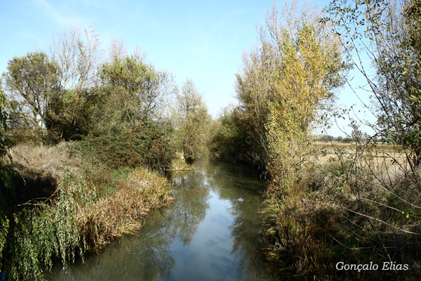 Paul do Boquilobo